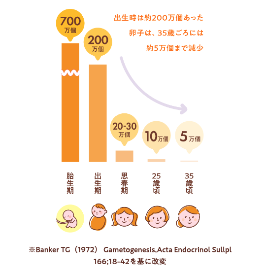 年代別排卵グラフ