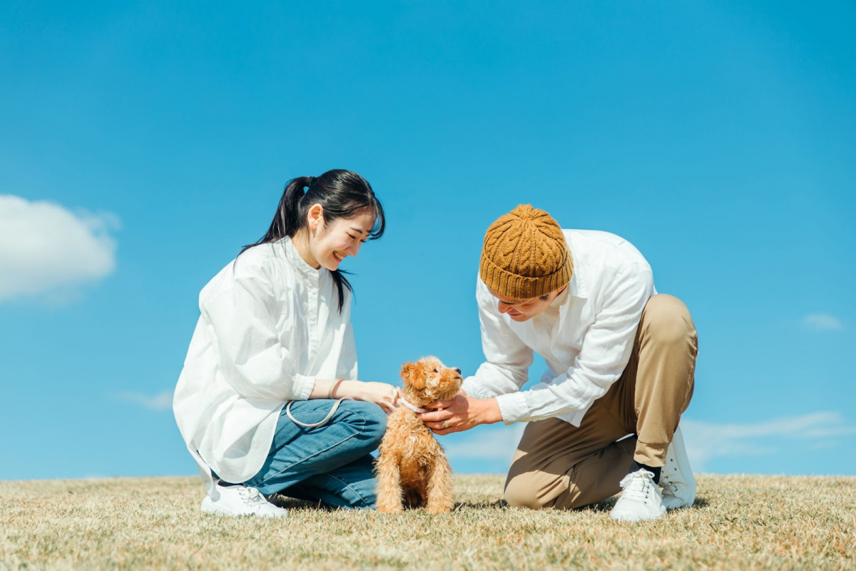 カップル
